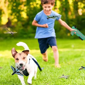 ✈️ Catapult Airplane Toy - Fun Outdoor Game for Kids 🎯